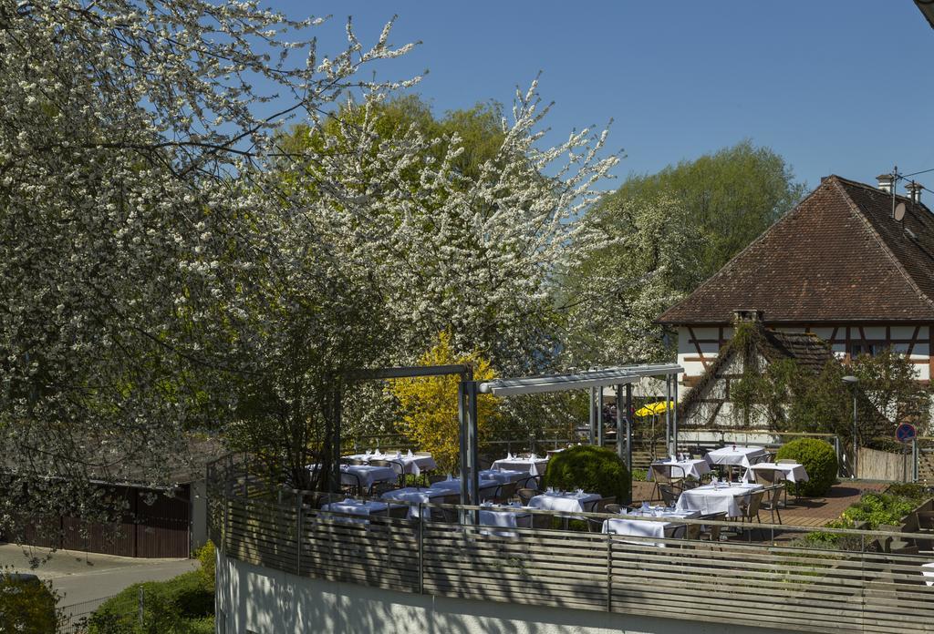 Pilgerhof Und Rebmannshof Hotel Uhldingen-Muehlhofen Exterior photo